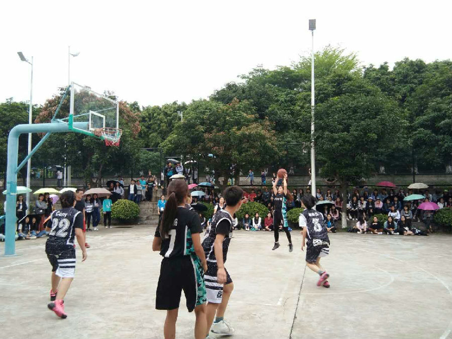 mmexport1493003164919.jpg